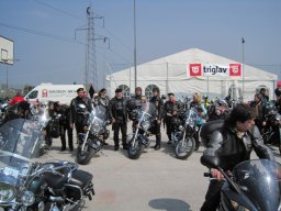 2010 &raquo; Blagoslov - MK Tulipani